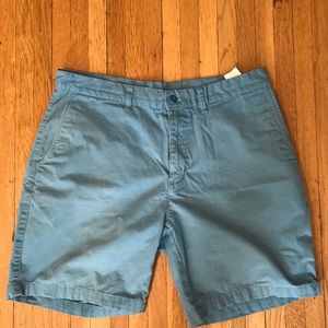 Patagonia Mens Shorts Blue 34 waist